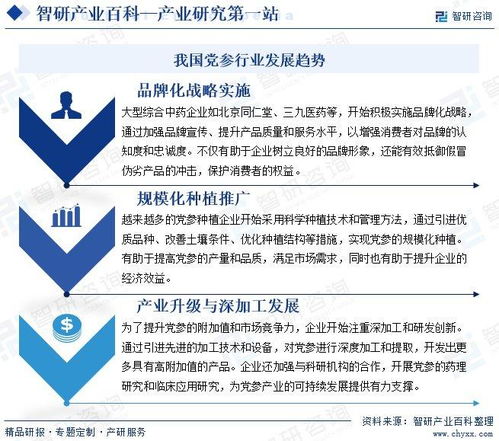 黨參行業分析報告 市場規模、供需態勢、競爭格局及投融資動態解析